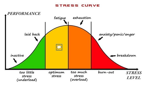 Stress Curve